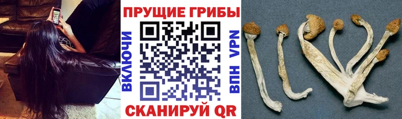 Купить закладки  Котовск  Галлюциногенные грибы ЛСД 